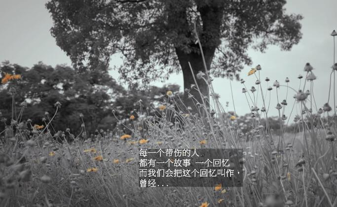 季彦霖 – 选择失忆 高清MV