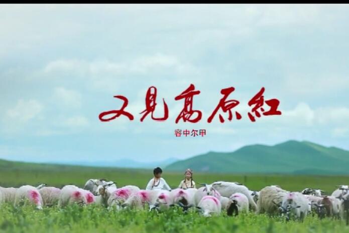 容中尔甲《又见高原红》MTV 高清MV