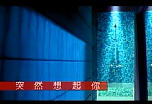 萧亚轩 – 突然想起你 VCD画质改善版