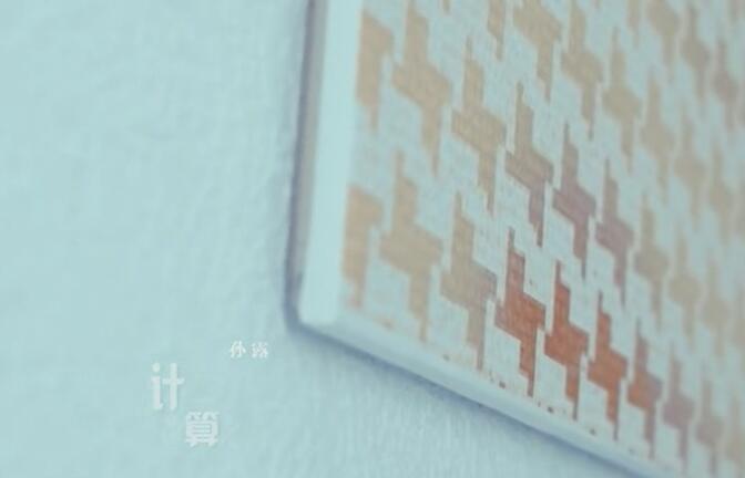 Mp4_孙露-计算-车载mv