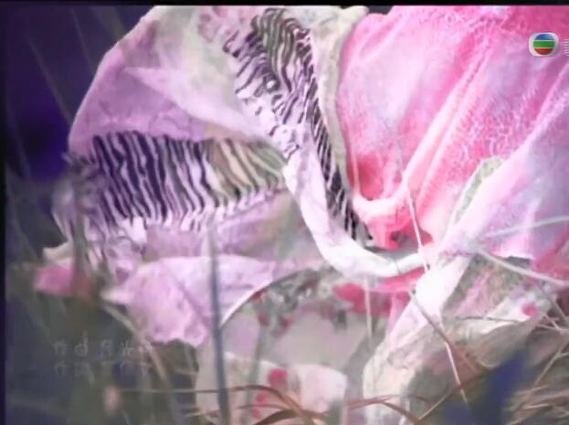 《我的骄傲》容祖儿Joey高清MV怀旧金曲KTV