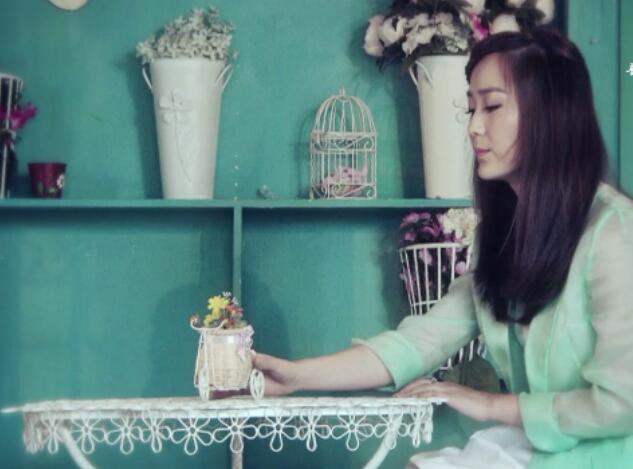 龙梅子《今生有你》MTV