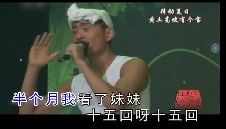 阿宝-山丹丹开花红艳艳(MTV)  VS 阿宝-为你跑成罗圈腿 VS 阿宝-走西口-国语