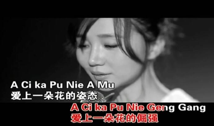 阿朵-一人一花(抢听版) 720P 高清