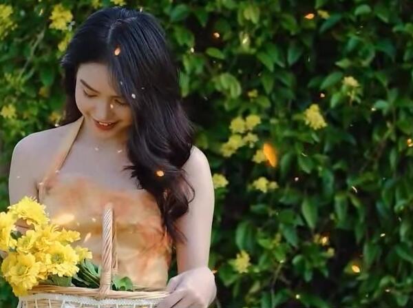 坐上火车去拉萨DJ 车载MV