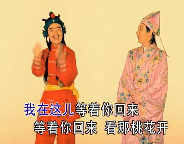 《桃花朵朵开》阿牛 MV 1080P 50FPS(音质优化)_高清 1080P