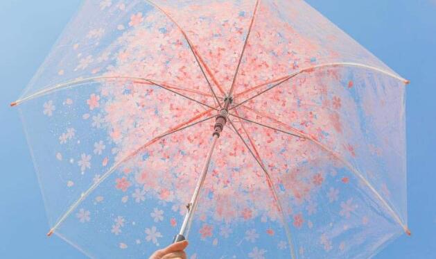 心善自然美丽，心慈自然柔和：《心灵雨伞 (Soul Umbrella) 》